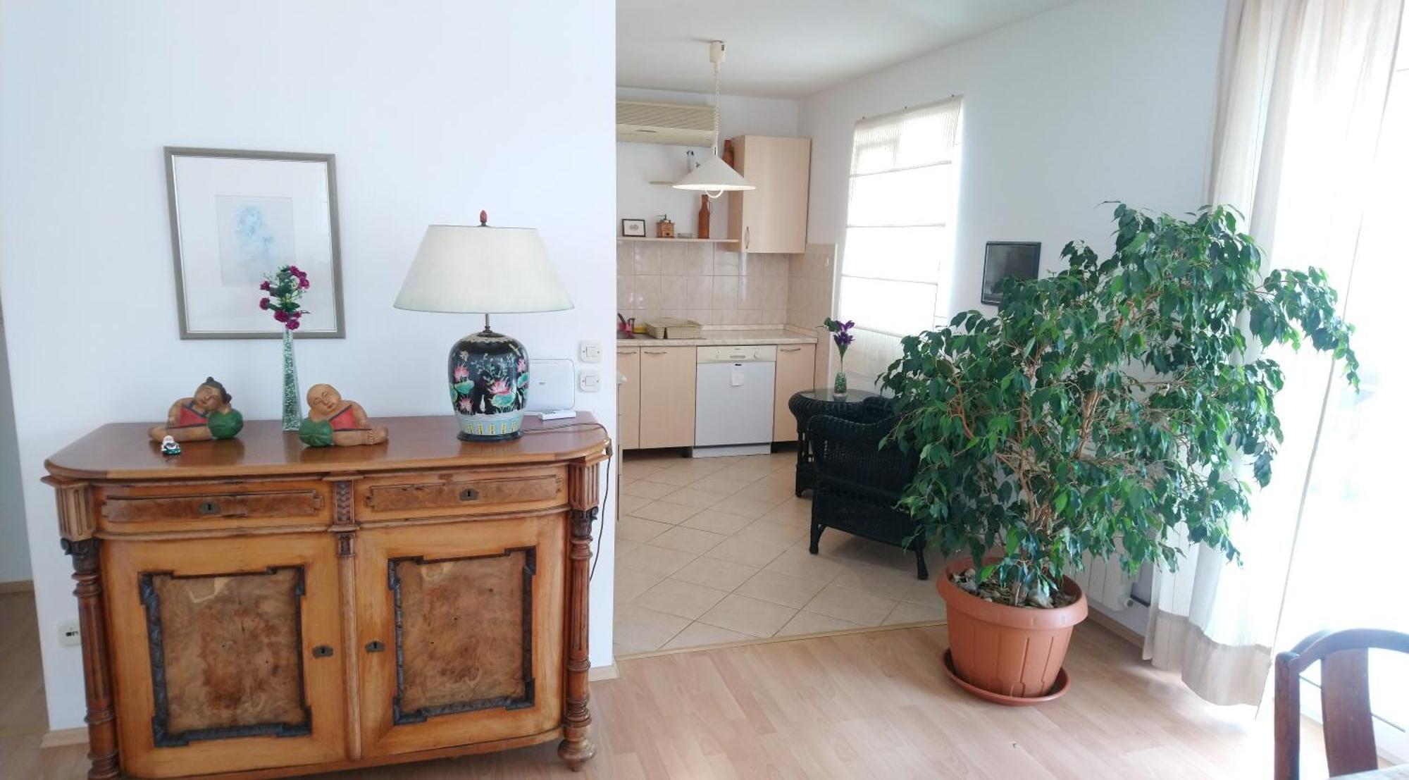 Apartmani Andrija Живогошче Экстерьер фото